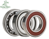 Radial Bearings 